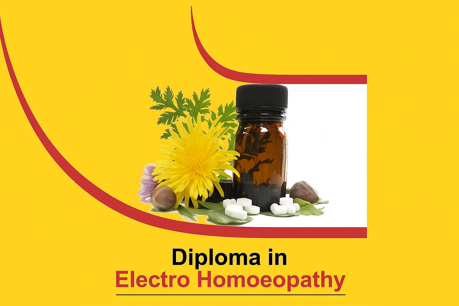 Materia Medica & Practice of Medicine in Electro Homoeopathy – Alternative Therapy Sequel: 8